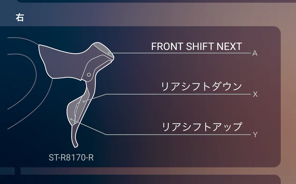 ヤモリスター☢️ tweet media