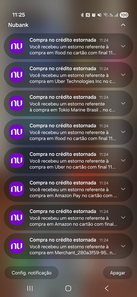 guerreirinha do código tweet media