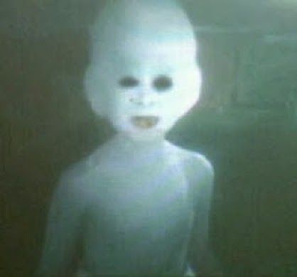 sean telkomsel tweet media