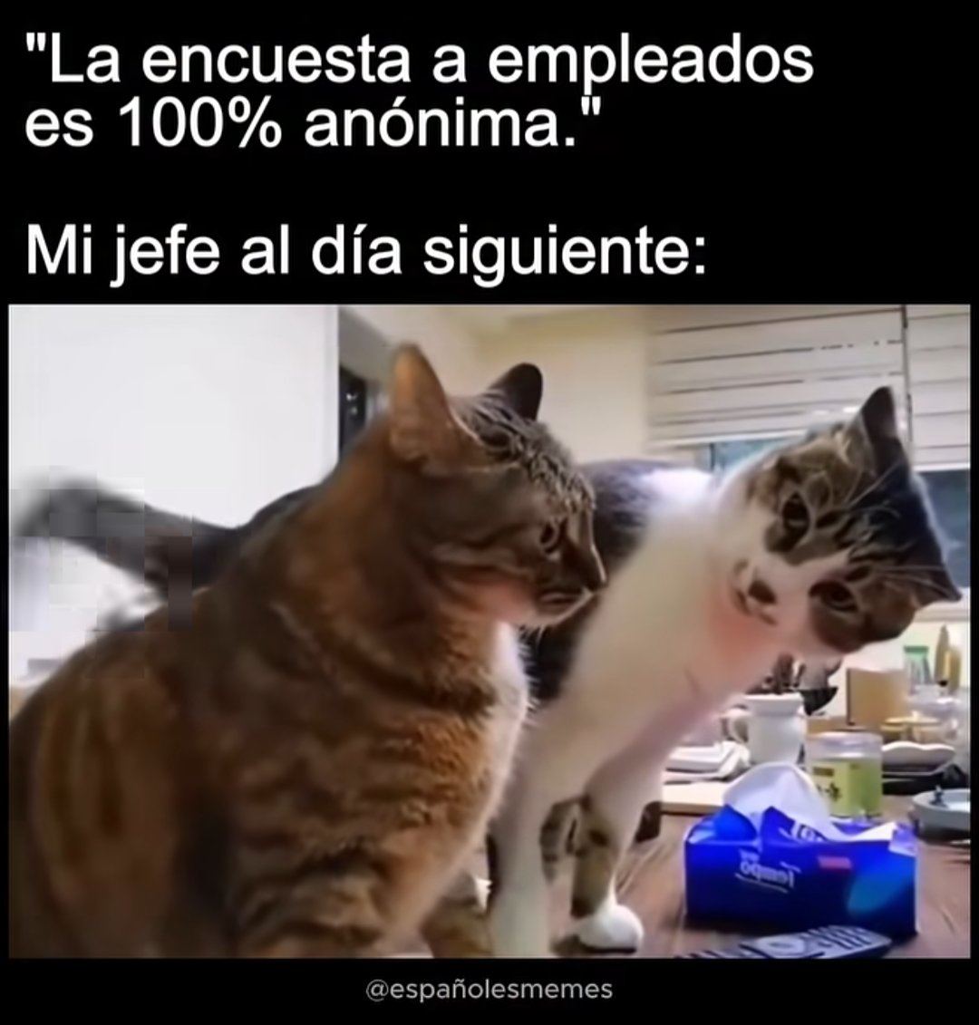 M Cortizas tweet media