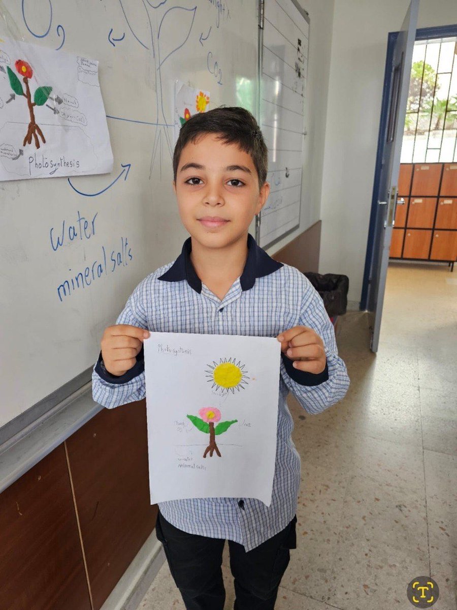 Quds News Network tweet media