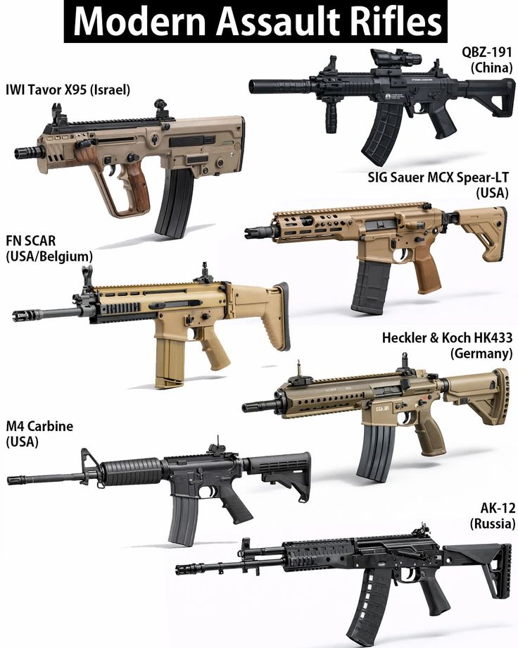 Gun Fanatics tweet media