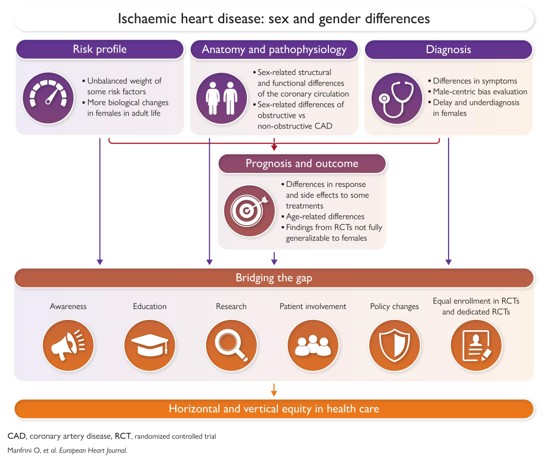 Women As One tweet media