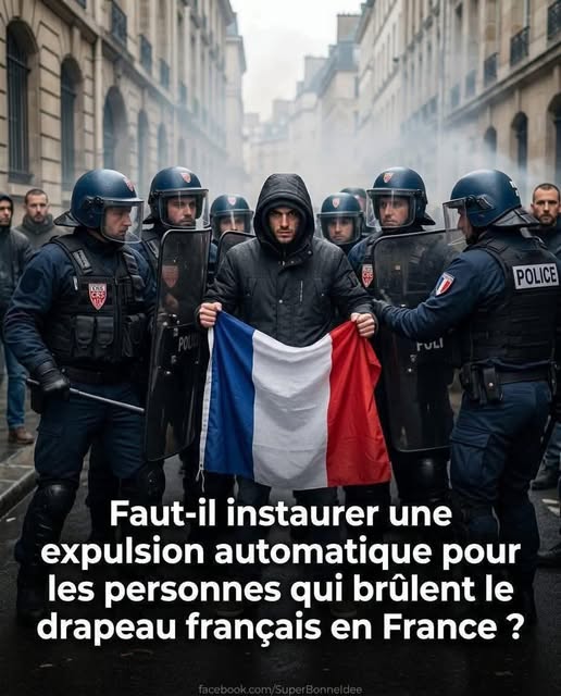 🇫🇷Olivier92🇺🇸 tweet media