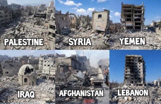 ĪLb£Y🌲 tweet media