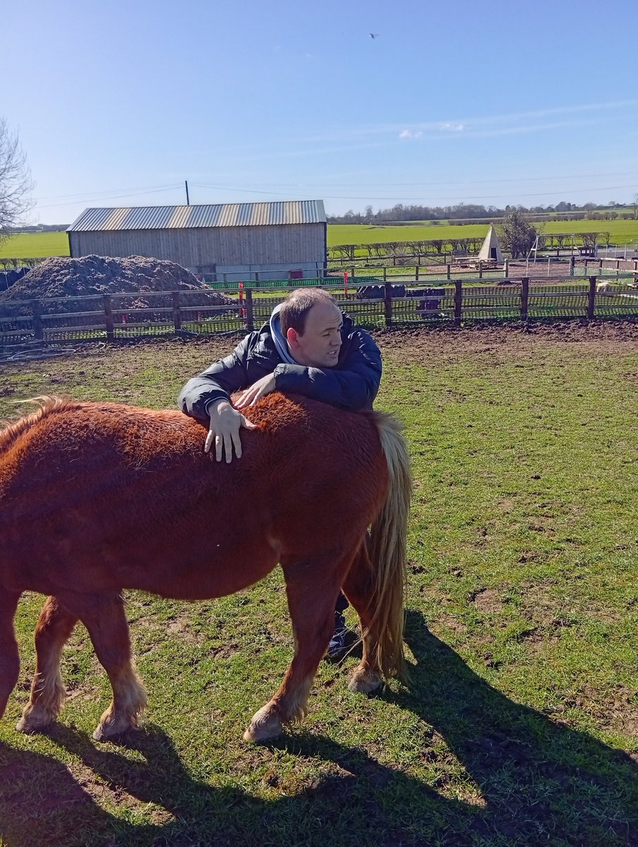 CascadeStiles's tweet photo. Clive spent the morning at Farmer Equine Interactions. Spending time  relaxing with the herd while the sun shone brightly #inclusion #horsetherapy #autism #spring #communication 🐴🌞 https://t.co/iUidazCVu3