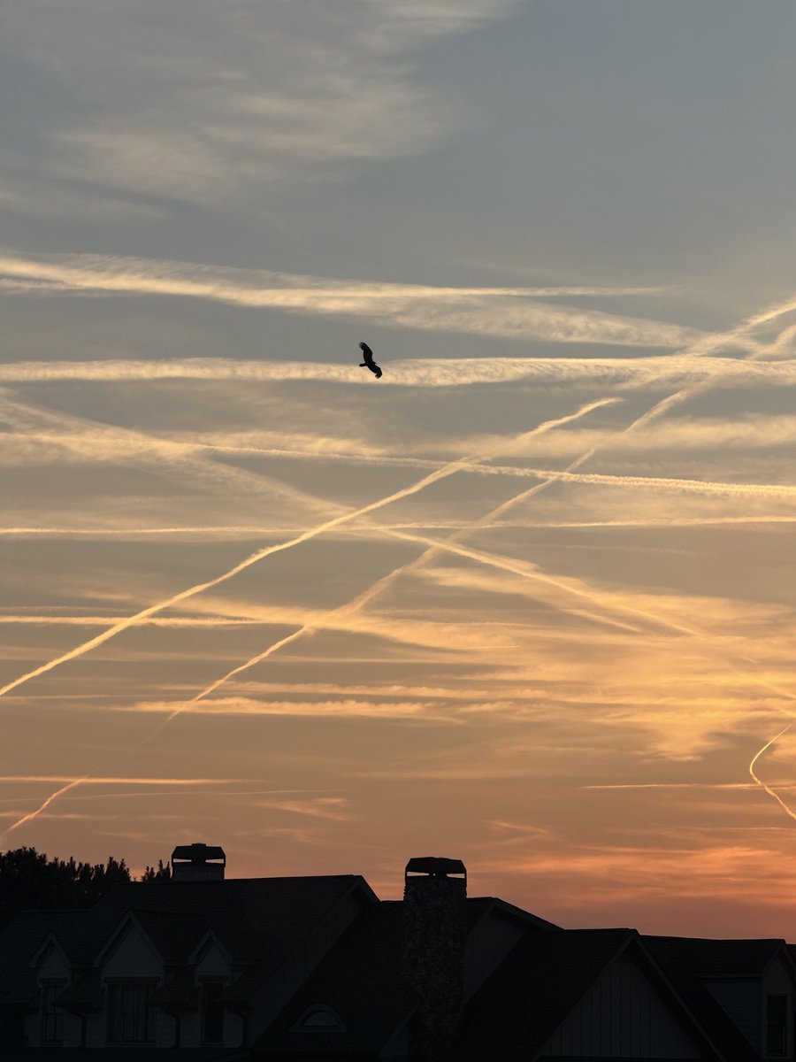 TruthDog tweet media