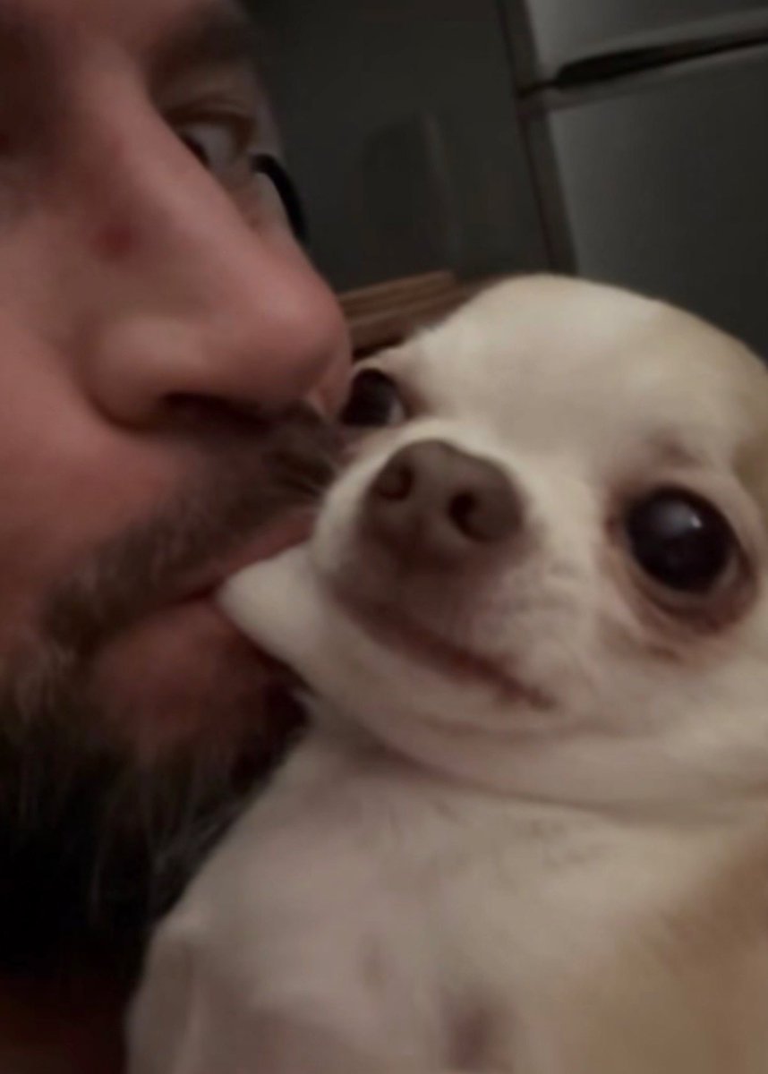 개병규 tweet media