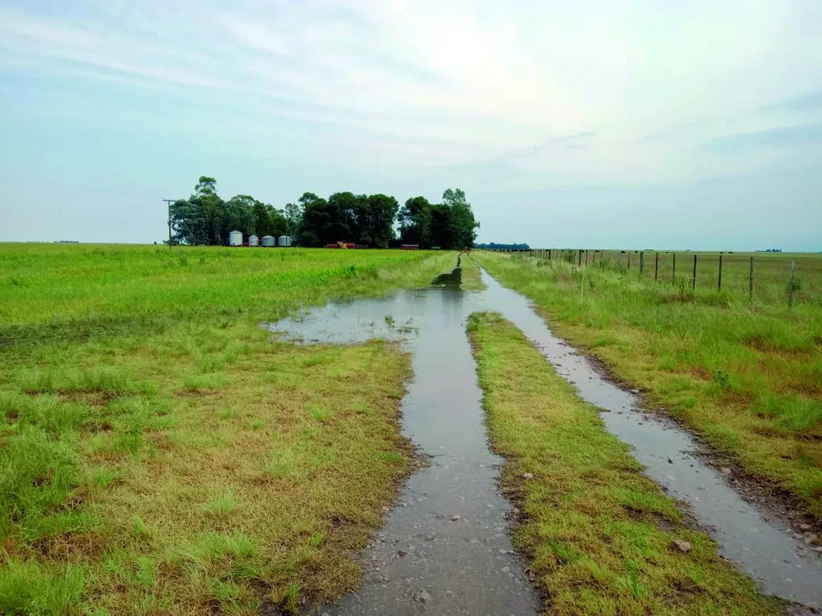 ‼️ En #RíoCuarto, las lluvias de febrero sumaron 500 mil toneladas de #maíz

▶️ El departamento produciría 5,2 millones de toneladas entre soja y maíz. El cereal tuvo una gran reacción luego de la sequía.

🌐 Puntal.com.ar