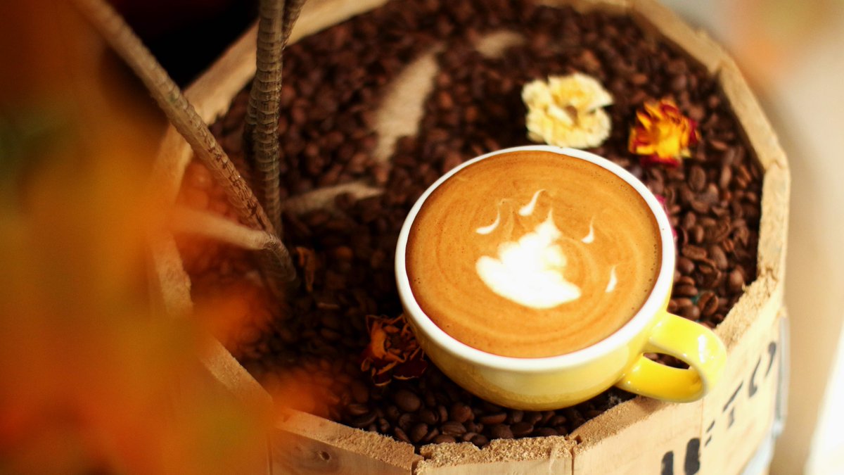 Гут Виктория tweet media