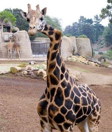 Miiiiiike tweet media