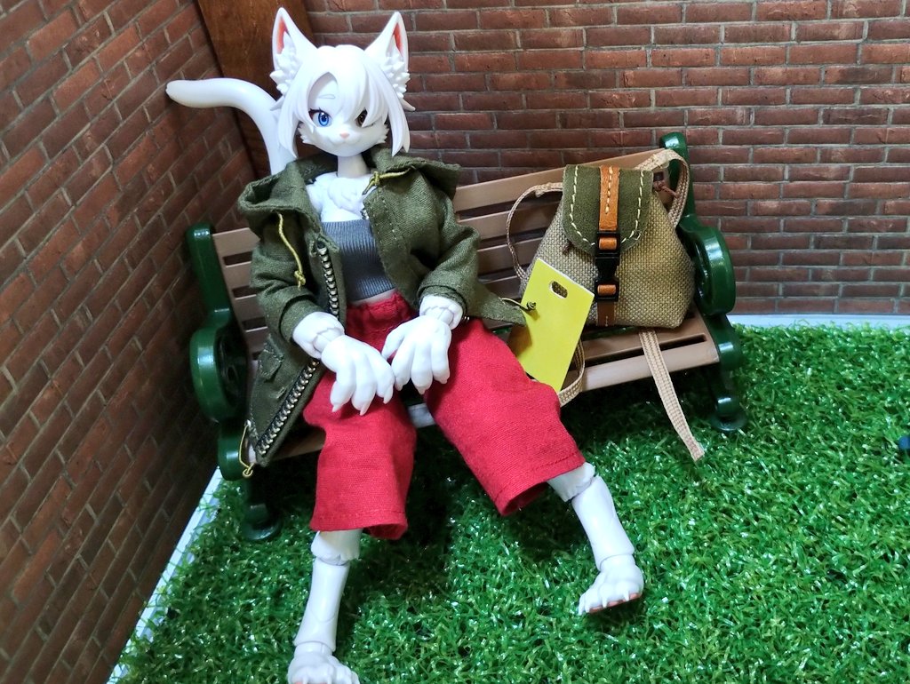 独楽(Koma) tweet media