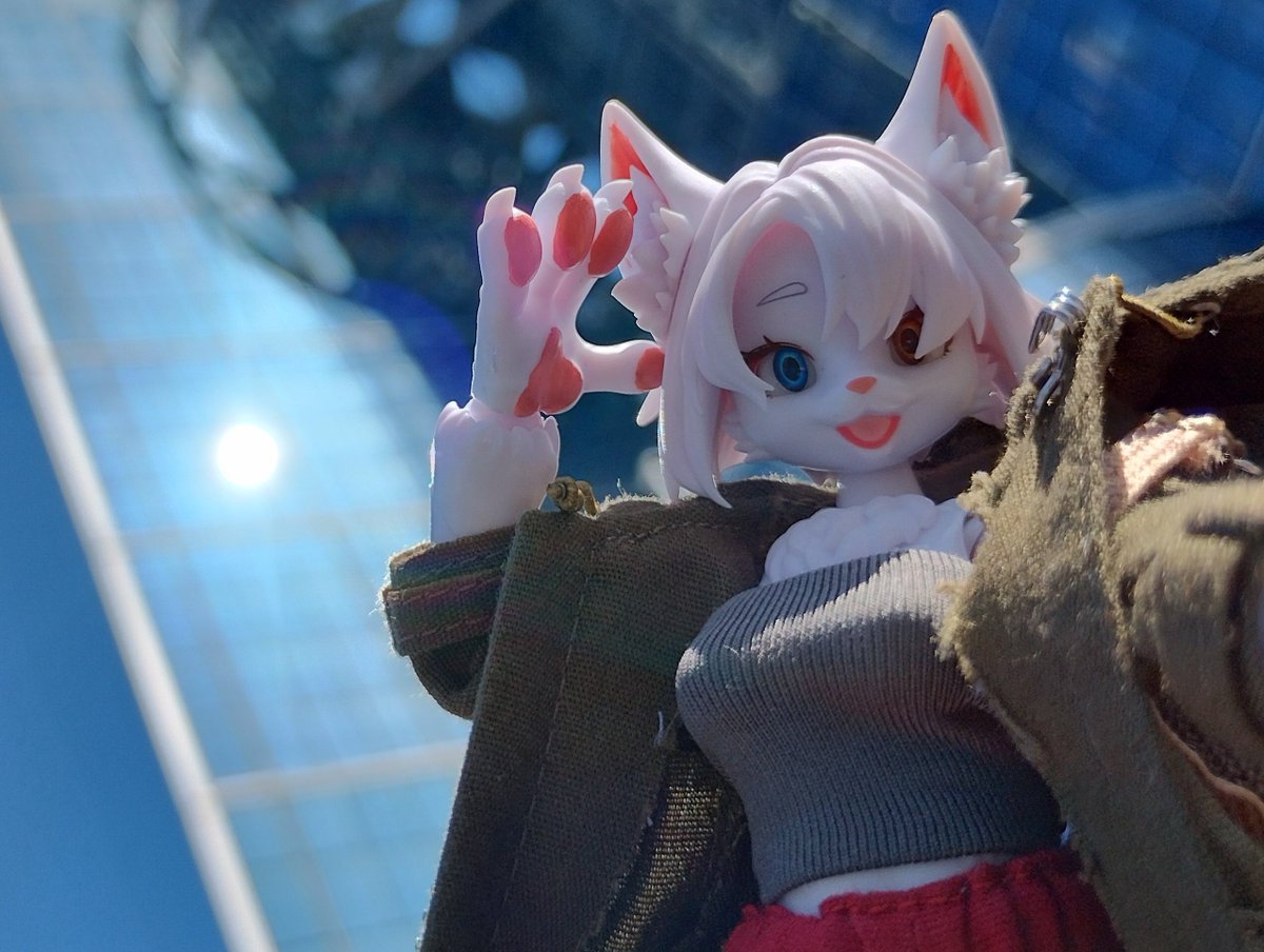 独楽(Koma) tweet media