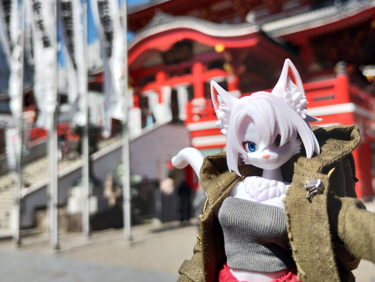 独楽(Koma) tweet media