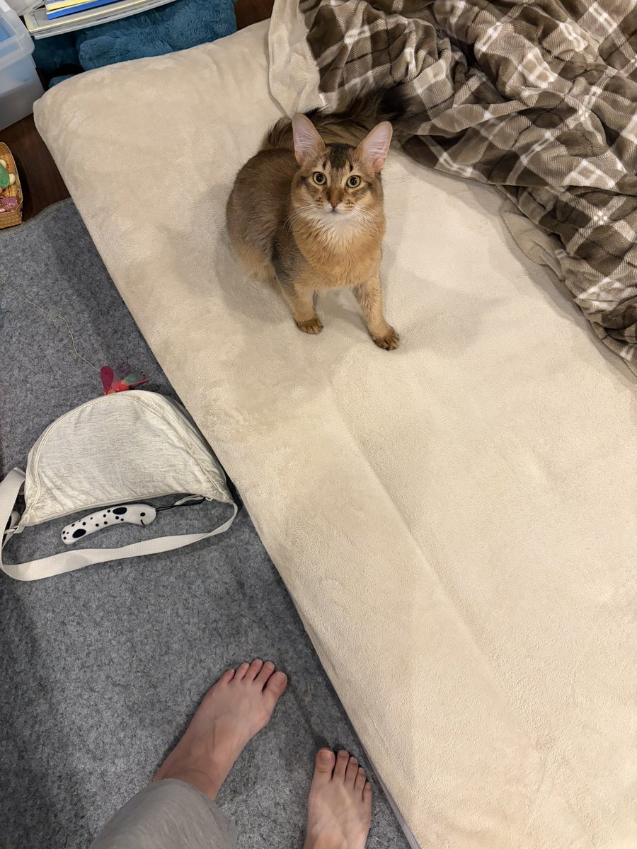 尊厳死 tweet media