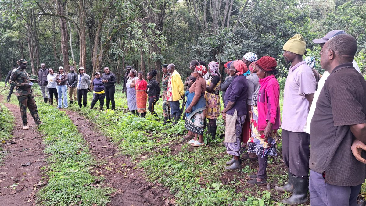 Kenya Power Foundation tweet media