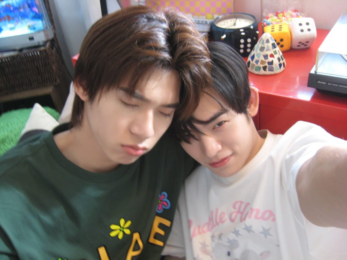 egi || dwy era 🐶🐱 tweet media