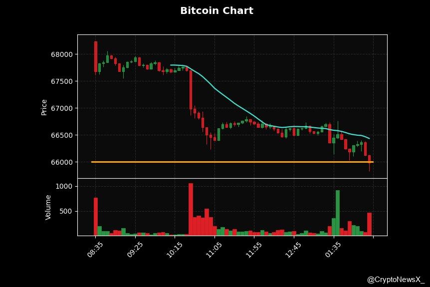 CryptoNews tweet media