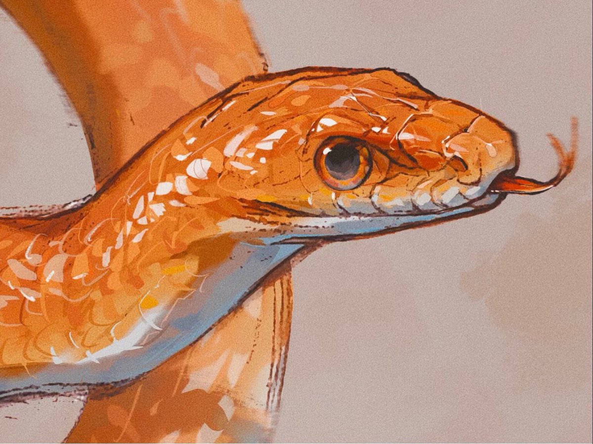 𝓐𝓶𝓫𝓮𝓻 tweet media