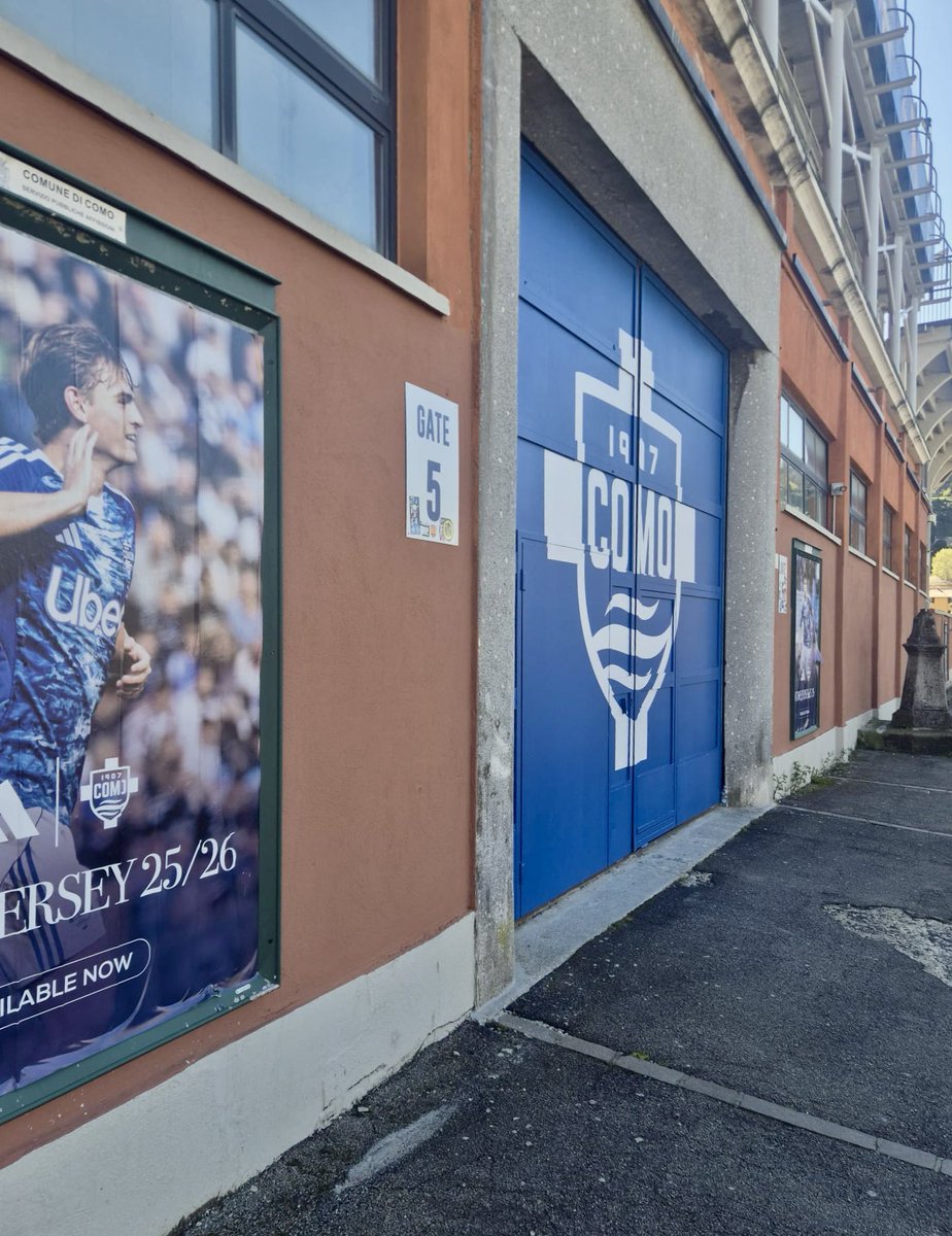 зива давид tweet media