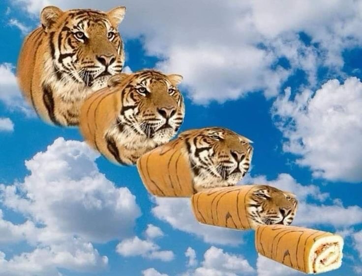 winnie and the carbuncles tweet media