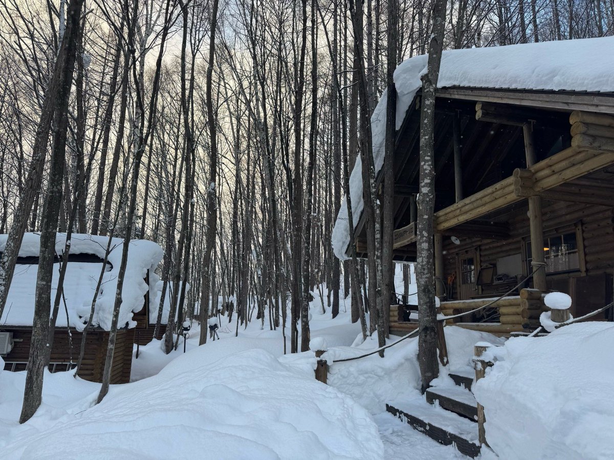 catch me tweet media