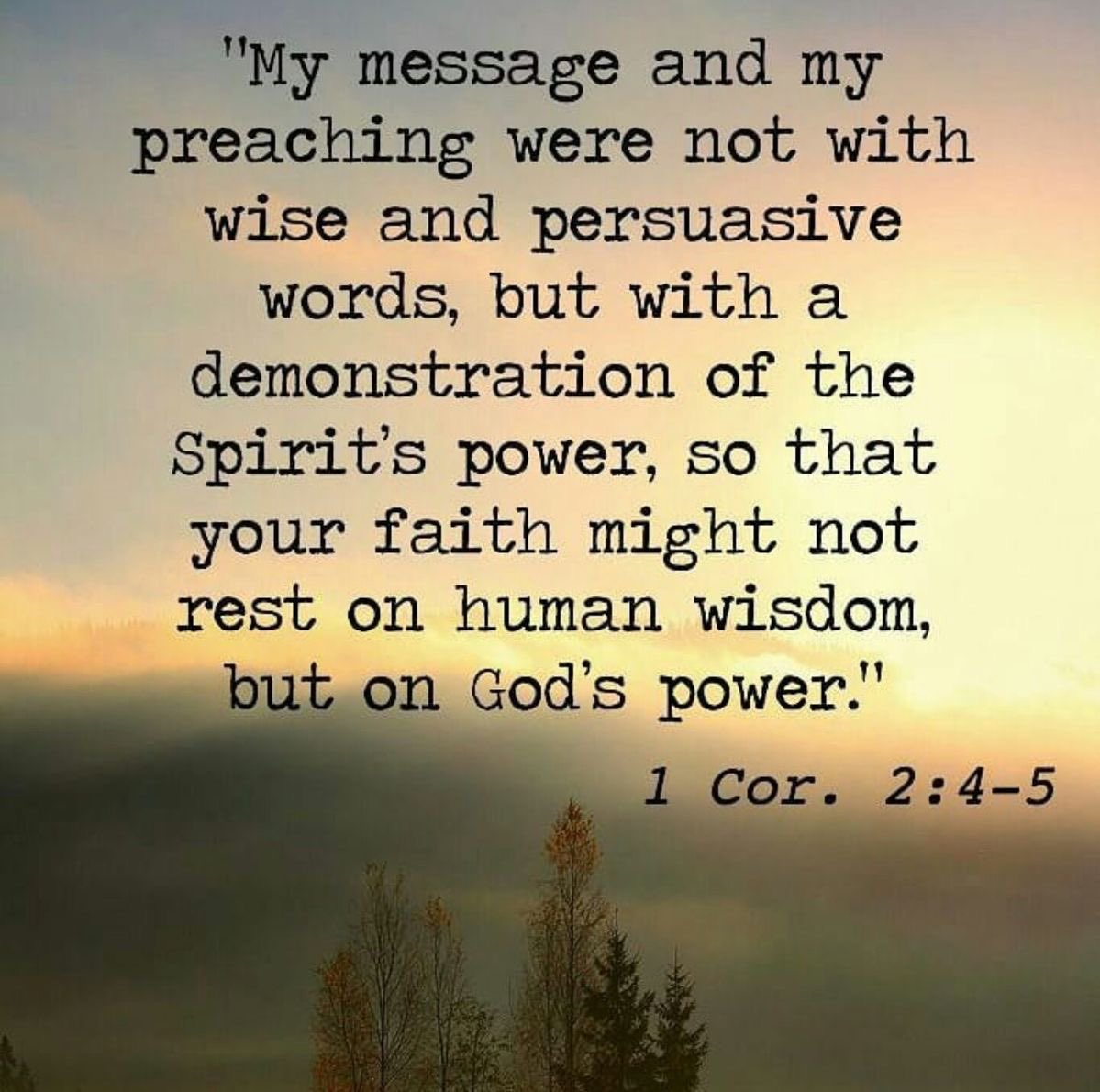 Jim Suttle tweet media