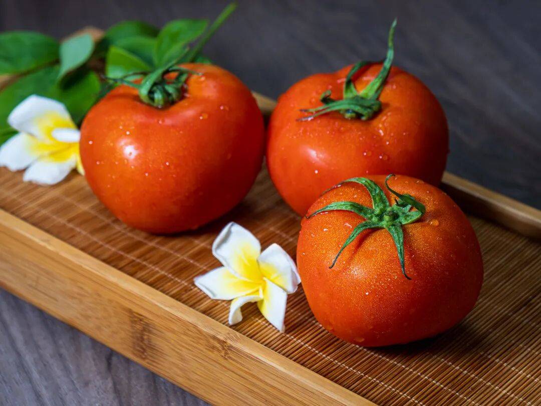 Wanderwit tweet media