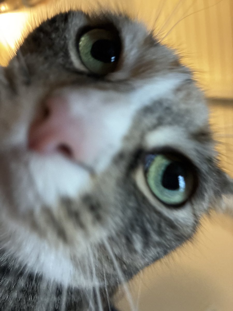 🪱 benny worm 🪱 tweet media