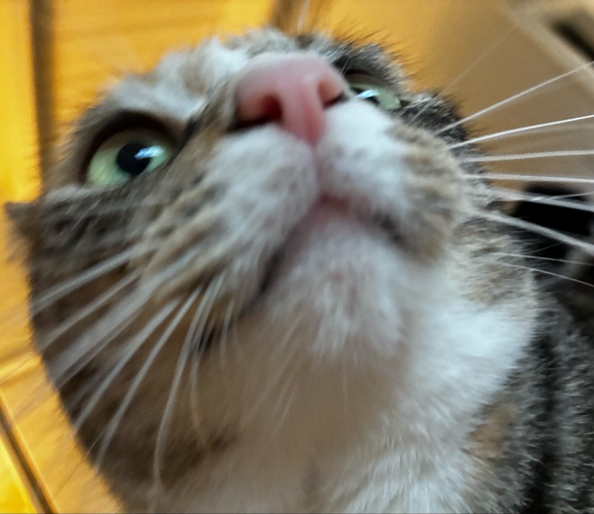 🪱 benny worm 🪱 tweet media