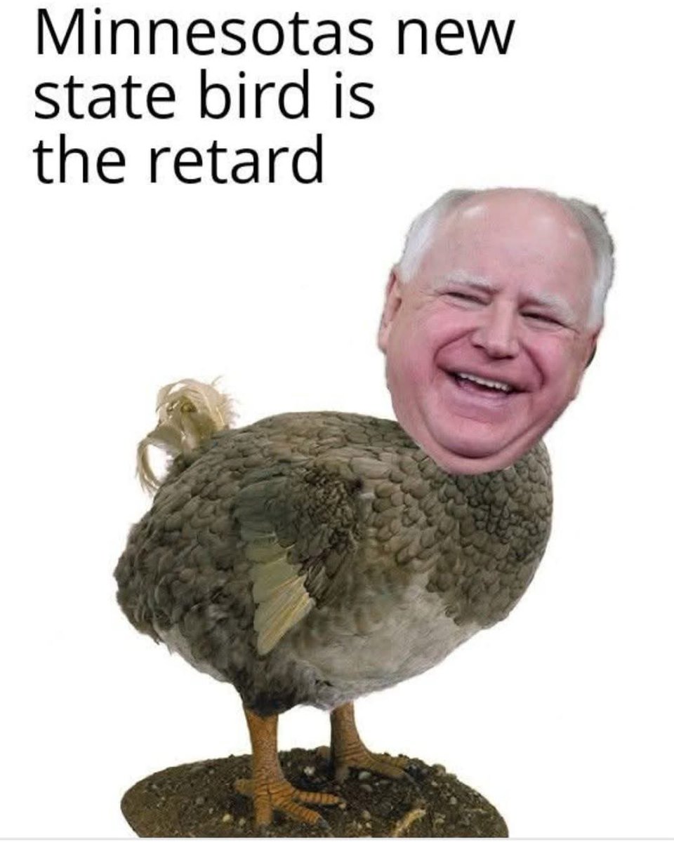 Fishinerman tweet media