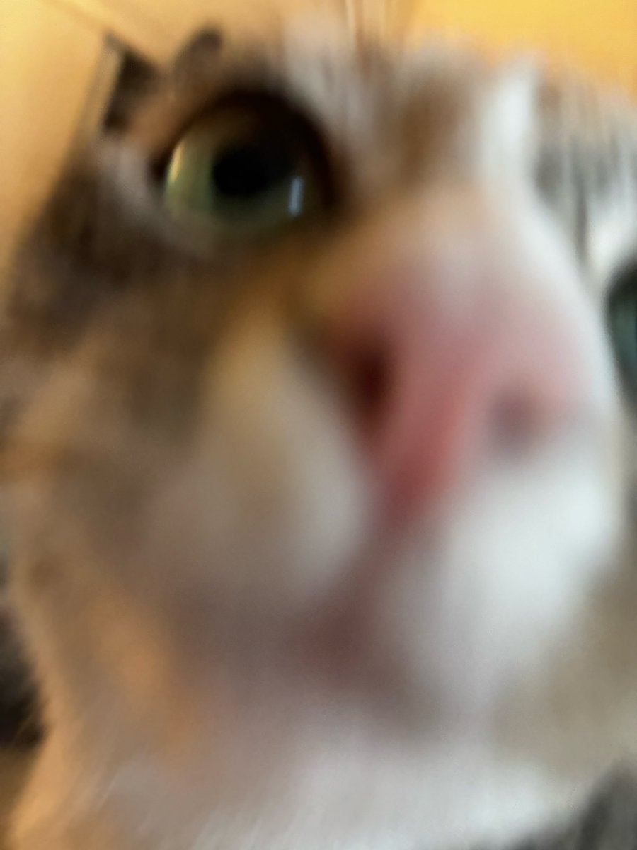 🪱 benny worm 🪱 tweet media