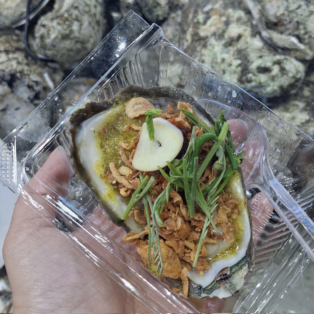 พิกกี้บอมบ์ 🐞🌻 Pre-order📍 tweet media