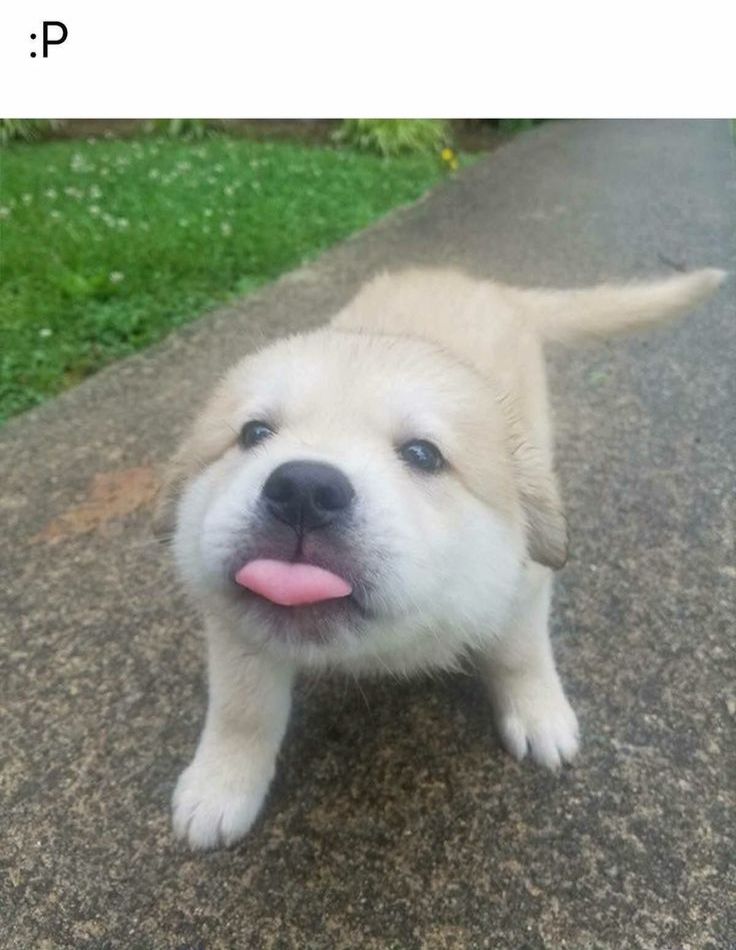 i drink soup tweet media