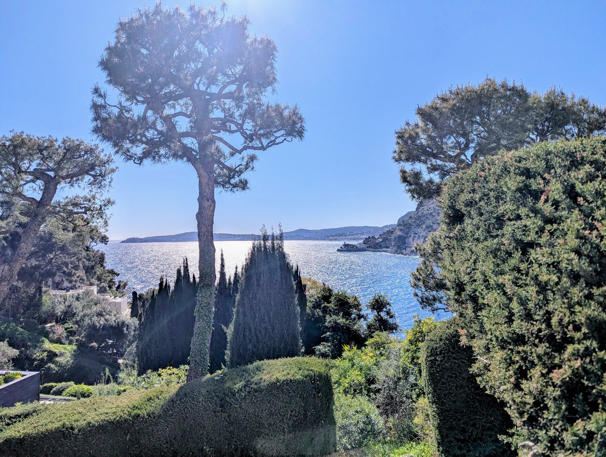 MiladyVinteuil tweet media