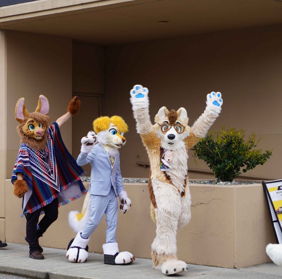 Carth the Llama tweet media