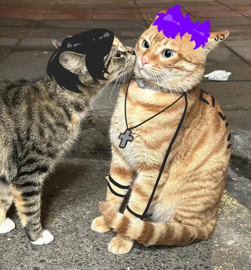 ツグミ🐾 tweet media