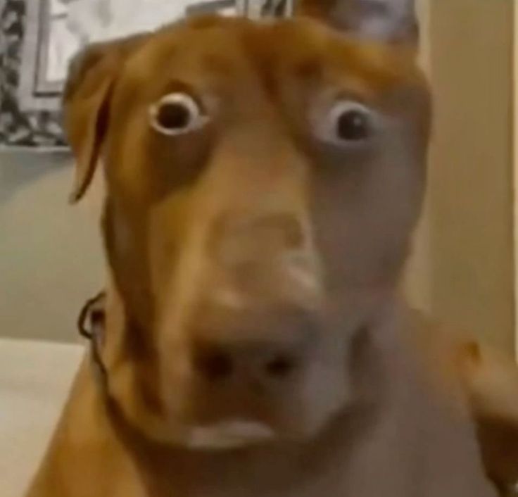 stella ☽︎🦄| tweet media