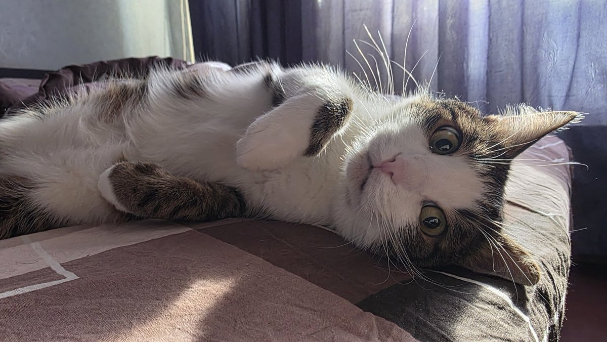 Tory Jam 🇺🇦🕊️ tweet media