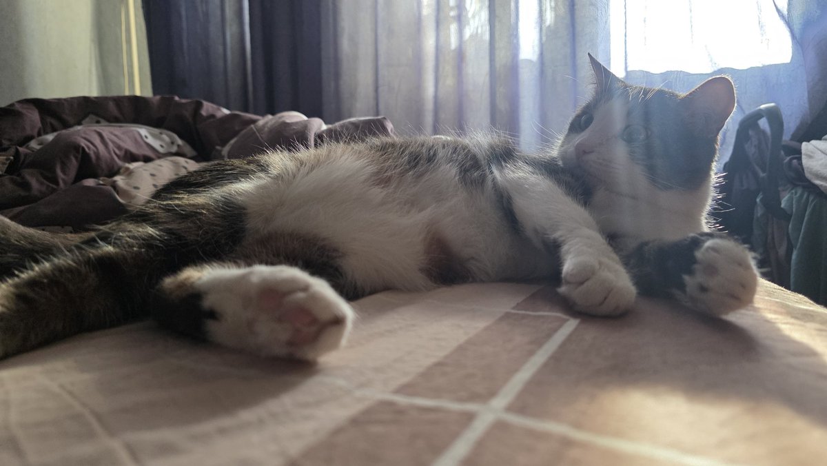 Tory Jam 🇺🇦🕊️ tweet media