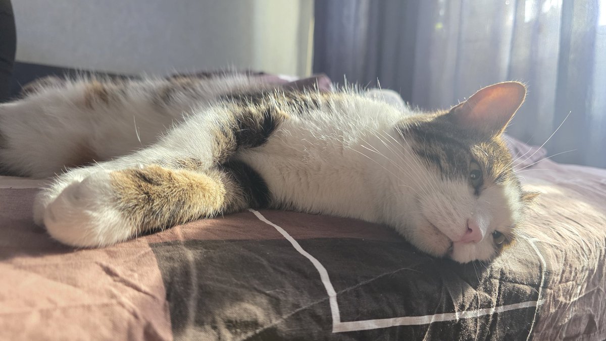 Tory Jam 🇺🇦🕊️ tweet media