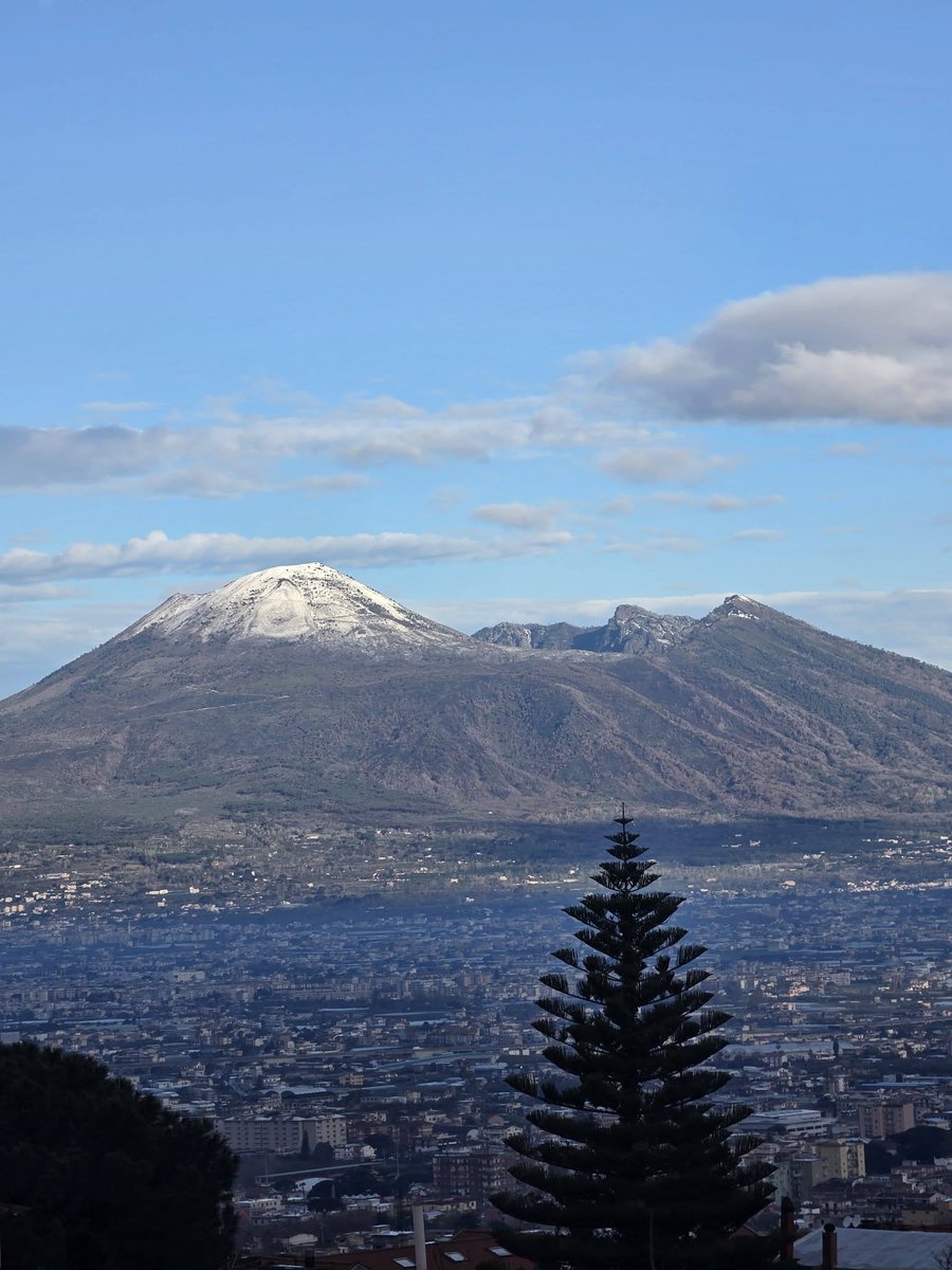 Marco M.M. tweet media