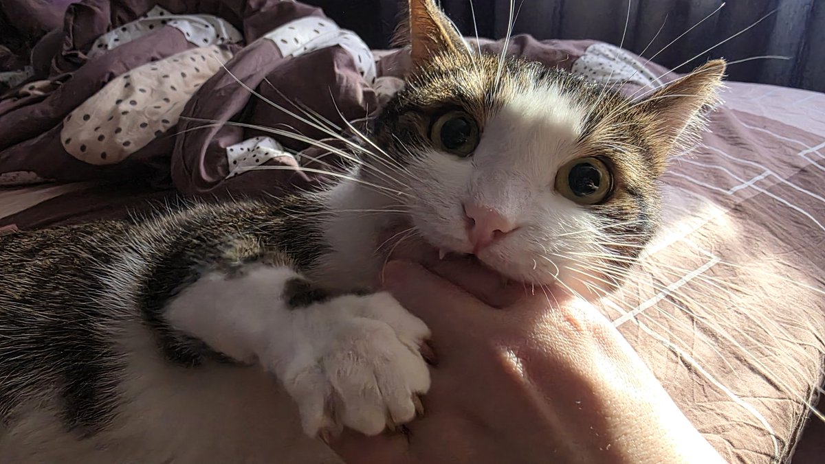 Tory Jam 🇺🇦🕊️ tweet media