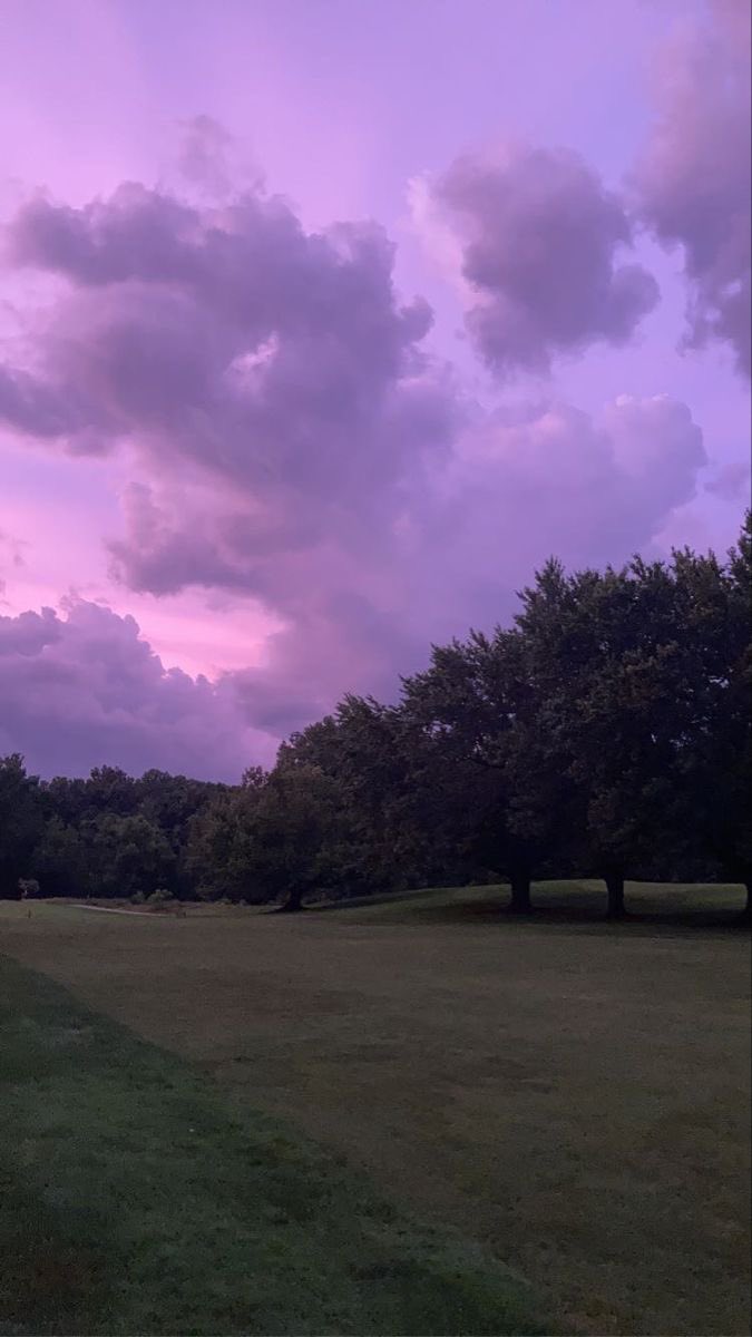 AGELESS THOUGHTS OF صباح مش شحرورة tweet media