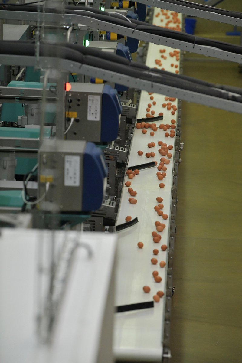 Oliver Varhelyi tweet media