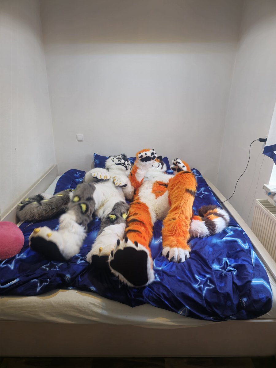 🇺🇦🇩🇪 AkoroSnep 🔜 FZ🇮🇹 East14🇩🇪 tweet media