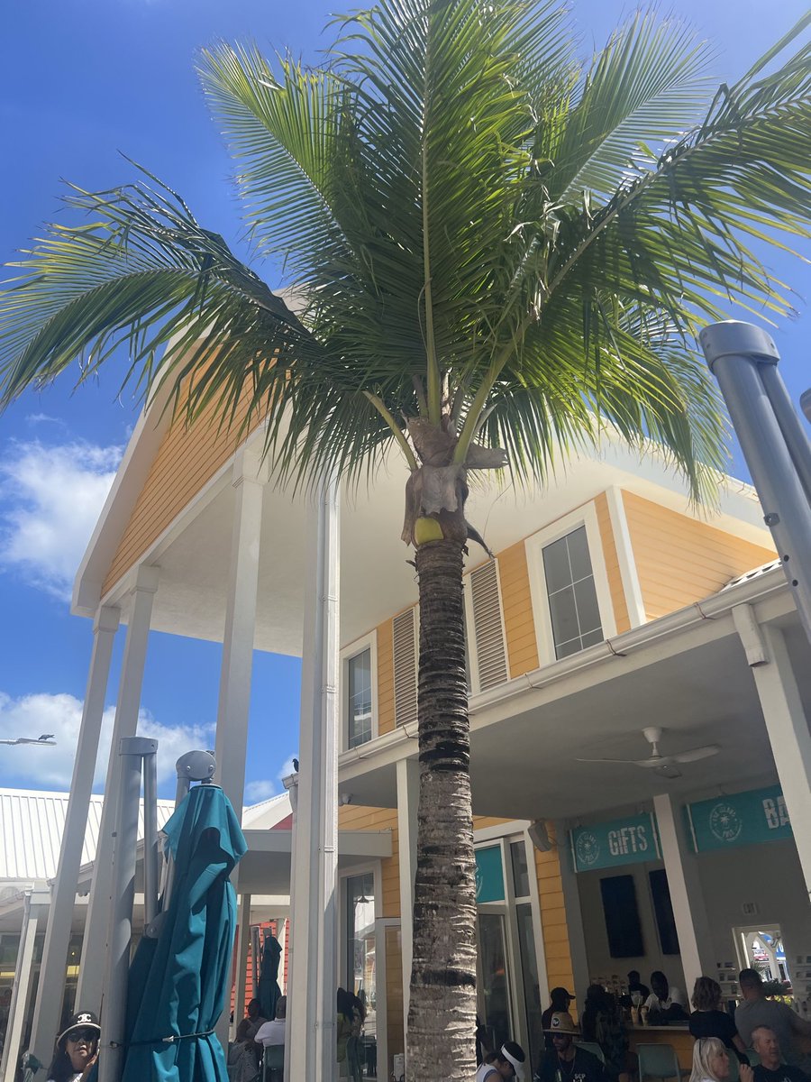 ChillForge tweet media