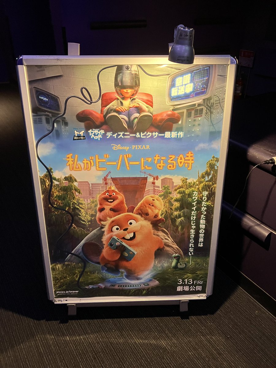 🦈riku🦈 tweet media