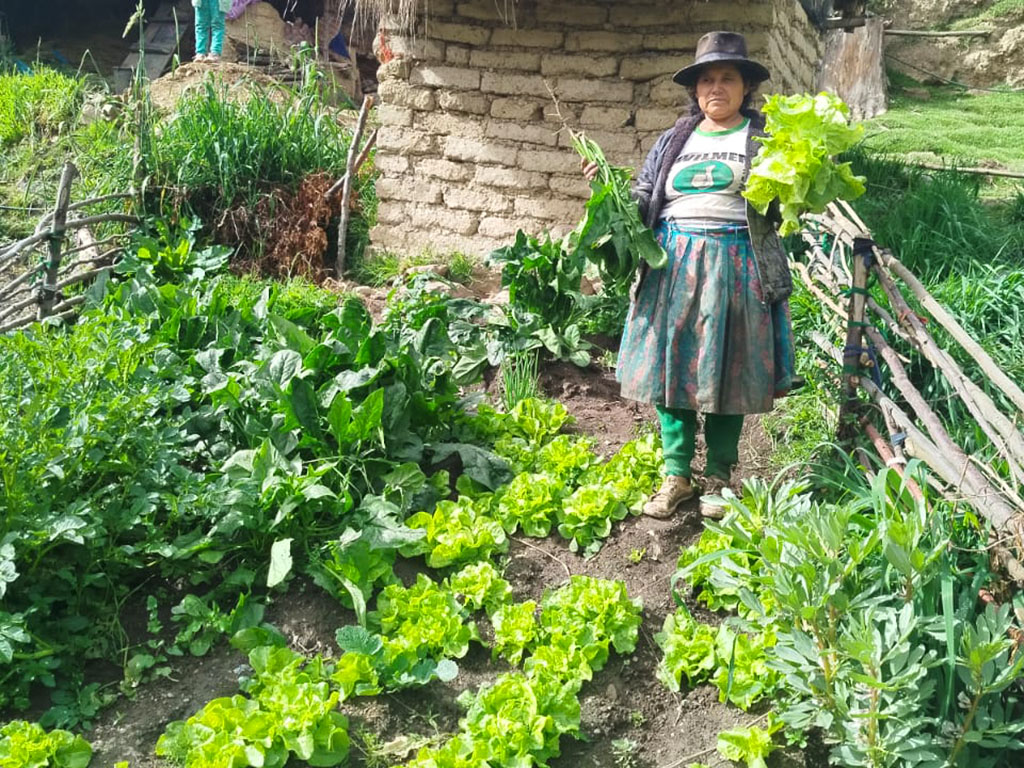 Midis Foncodes tweet media