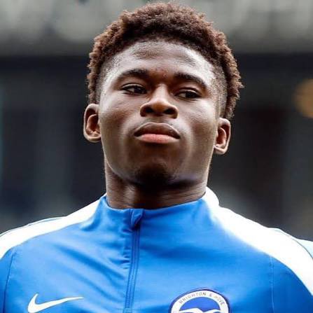 (fan) Frank 🧠🇾🇪 tweet media